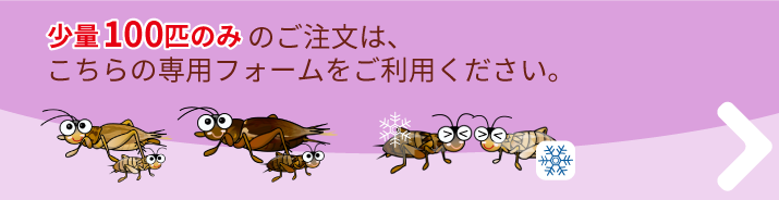 少量100匹専用 注文はこちら