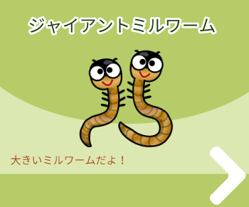 ジャイアントミルワーム 注文はこちら